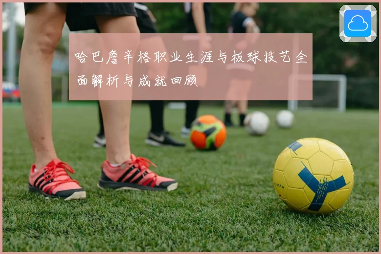 哈巴詹辛格职业生涯与板球技艺全面解析与成就回顾