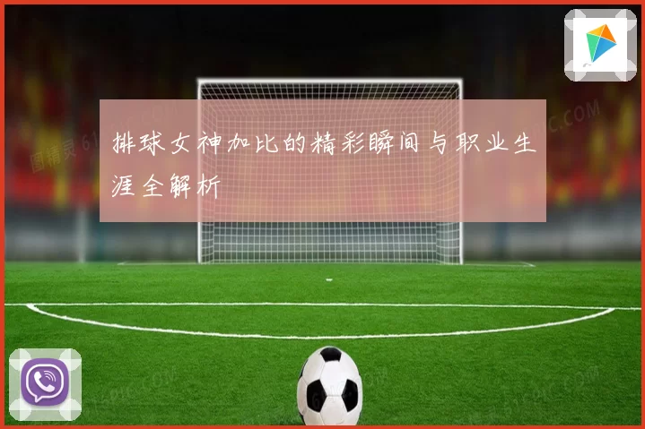 排球女神加比的精彩瞬间与职业生涯全解析