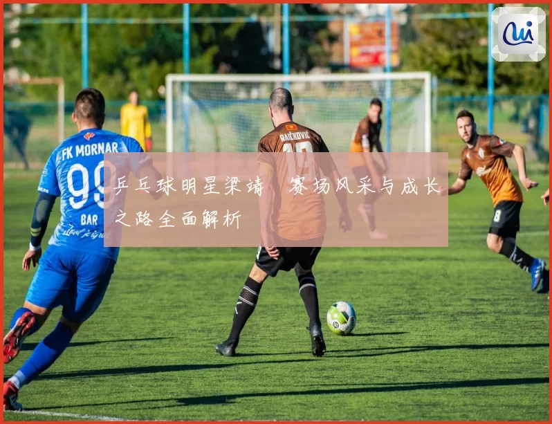 乒乓球明星梁靖崑赛场风采与成长之路全面解析