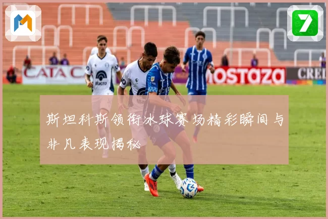 斯坦科斯领衔冰球赛场精彩瞬间与非凡表现揭秘