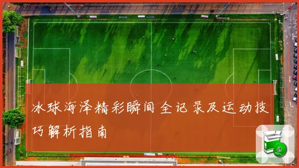 冰球海泽精彩瞬间全记录及运动技巧解析指南