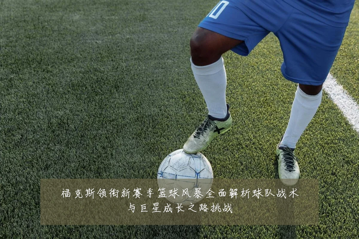 福克斯领衔新赛季篮球风暴全面解析球队战术与巨星成长之路挑战